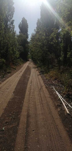Imagen 8 de 10 de Finca 22 Hectarias En Colonia Elena San Rafael