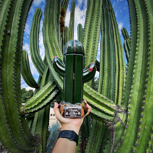 Tequila La Cofradia Ed. Cactus Reposado 750ml