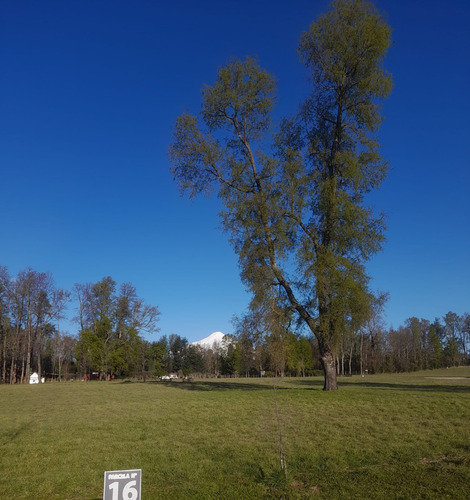 Hermosas Parcelas Ruta Ch-199 Km. 7 Villarrica - Pucón