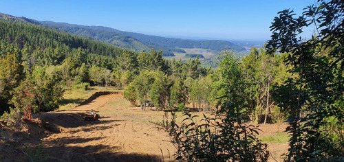 Parcela 5000 M2 En Potrero Alto, Valdivia.