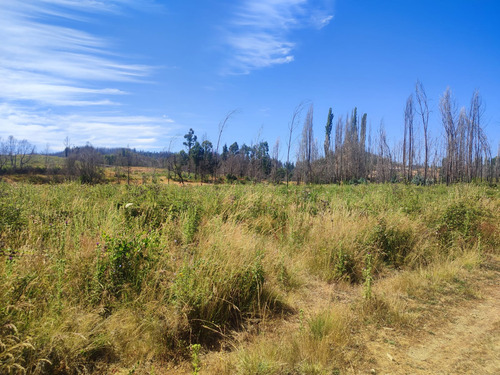 Venta De Terreno Agricola En Santa Juana