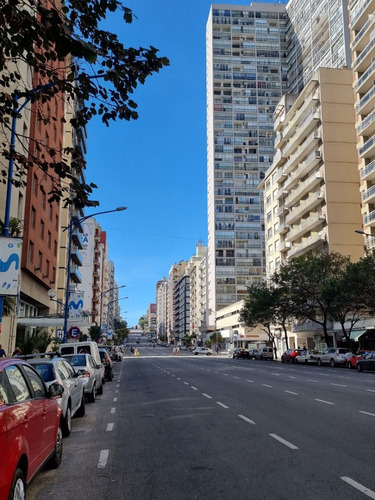 Imagen 4 de 16 de Departamento 3 Ambientes Con Dependencia Mar Del Plata Edificio Castelar