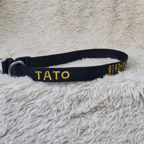 3 Collares Mascota Personalizados Esp. Un M, Un G Y Un Xg