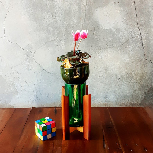 Violeta Little Plant 24 Con Soporte Maceta Autorregante