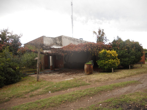 Imagen 13 de 14 de Finca 27 Hs En Gral.alvear, Pcia. De Mendoza