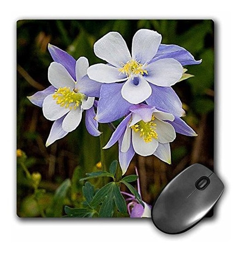 Mouse Pad, Trillizos De Columbina, 8x8x0.25 PuLG.