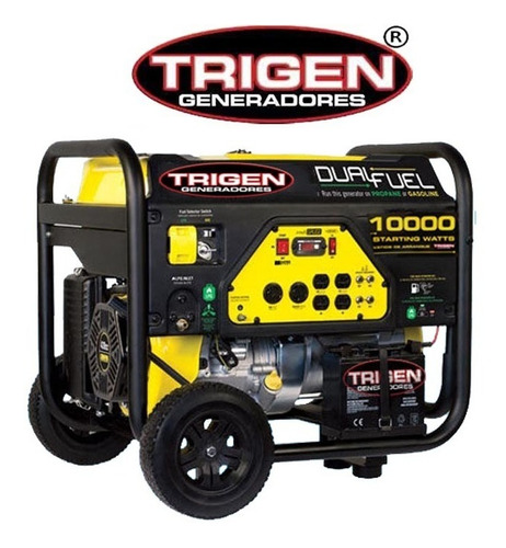 Generador Champion Dual A Gasolina O Gas 10000 W Incluye Iva