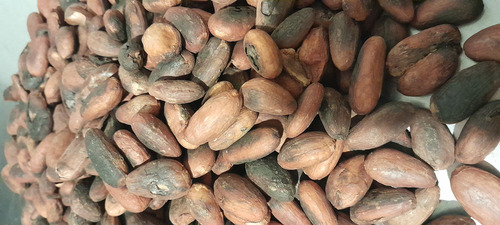 Cacao Tostado Kilogramo