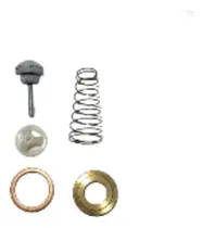 Comprar Kit Reparación Valvula Retención C\u002Fvástago Ford 1311-1414