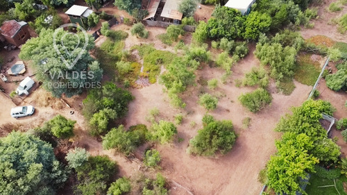 Terreno En Los Pinos Excelente Conectividad