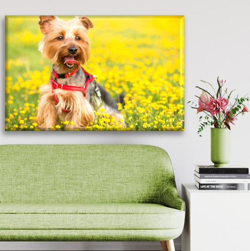 Cuadro Canva Yorkshire Terrier En El Pasto 60x40 Cm