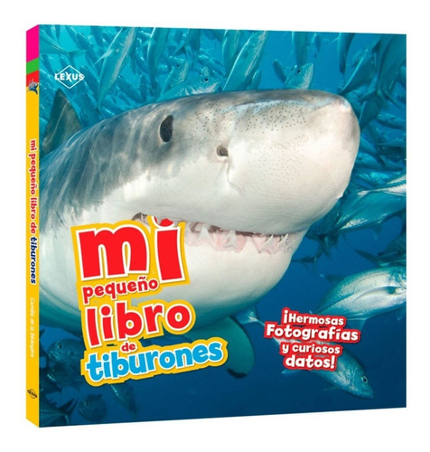 Mi Pequeño Libro De Tiburones