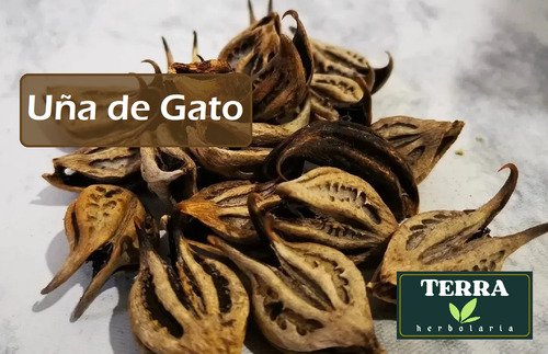 Té Uña De Gato Semilla Selecta 100% Natural Medio Kilo