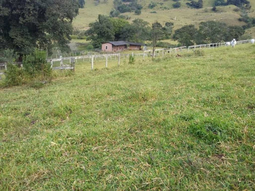Imagem 2 de 29 de Fazenda De Gado Com 263 Hectares Itajuba - 36525