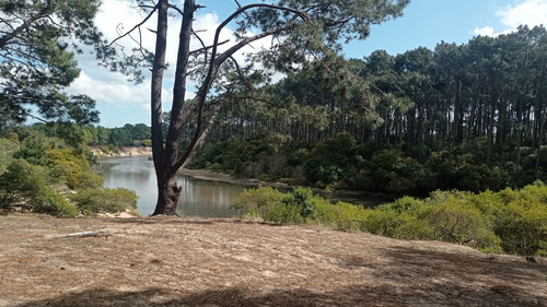 Venta Lotes Arroyo El Potrero- Punta Ballena (ref: Atm-2416)