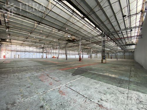 Imagen 4 de 8 de Alquiler De Galpón En Parque Industrial Cir2 - Berazategui (28511)