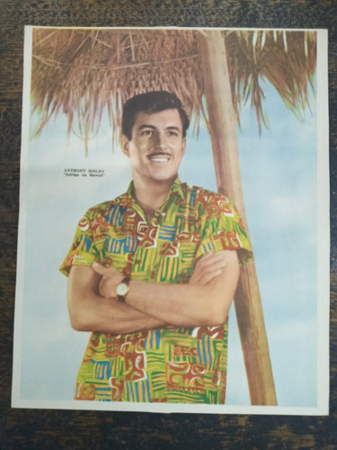 Intriga En Hawaii * Poster Canal Tv * 1960 *