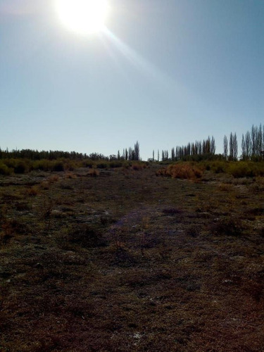 Imagen 23 de 26 de Venta Campo 103 Ha General Alvear
