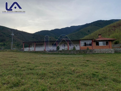 Imagen 4 de 28 de Finca Mérida