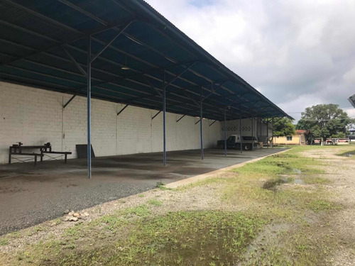 Imagen 12 de 27 de En Venta Finca De 118 Hectáreas , Y Granja Porcina , De 3.5
