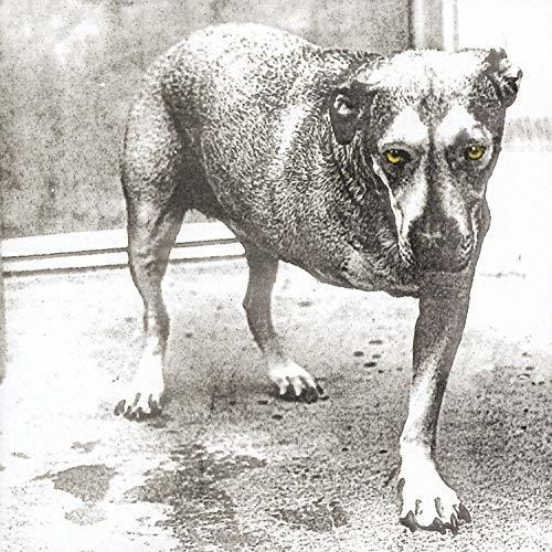 Alice In Chains - Alice In Chains 1cd