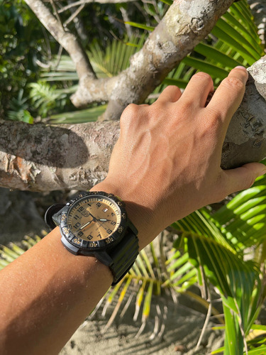 Reloj Luminox Leatherback Sea Turgle G. Xs.0325.gp Hombre
