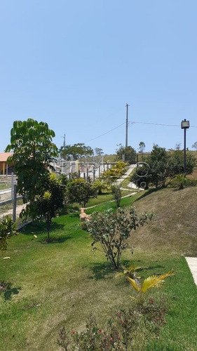 Imagem 14 de 15 de Venda - Chacara -3 Dorm. 1 Suite - 1.650 M² - Guararema - Sp - V-3274