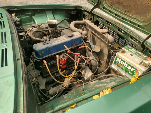 Opala Comodoro