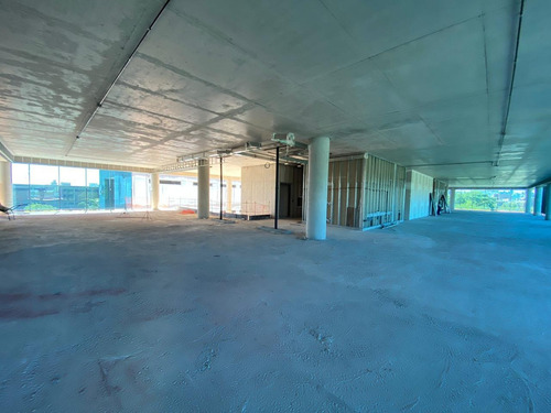 Imagen 6 de 8 de Oficinas En Alquiler | Wo Leaf Building | 345 M²