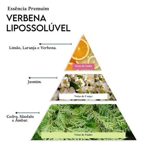Essência Premium De Verbena Lipossolúvel - 100 Ml