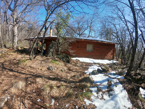 Sitio 4,800m2 Con Cabaña - Las Trancas - Pangue Propiedades