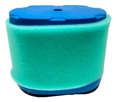 Filtro De Aire 697029 Briggs & Stratton 690610 498596