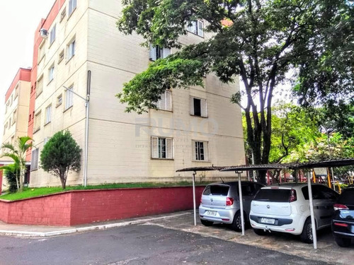 Imagem 1 de 23 de Apartamento À Venda Em Vila Mimosa - Ap006630