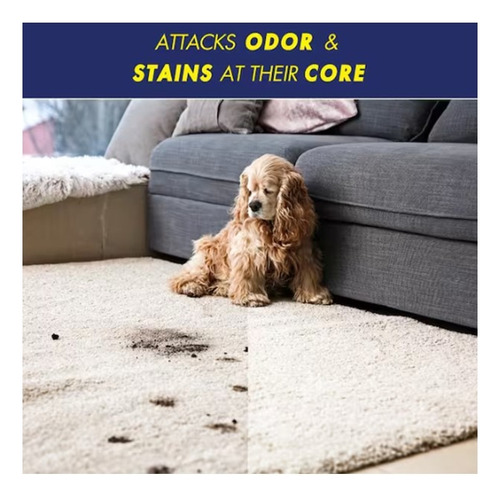 Limpieza Muebles Y Alfombras Elimina Olores Arm And Hammer