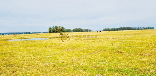 Campo De 20 Has Muy Cerca Del Faro Jose Ignacio - Consulte !!!!!!- Ref: 1436