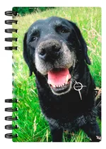 Comprar Cuaderno Personalizado 200 Hojas Anillado A5 Hojas Rayadas Hojas Rayadas