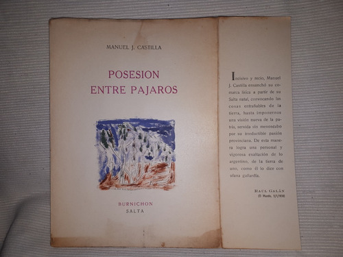 Imagen 4 de 10 de Posesion Entre Pajaros Manuel J Castilla 1º Ed Burnichon