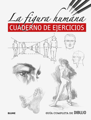 Figura Humana - Cuaderno De Ejercicios - Varios Autores