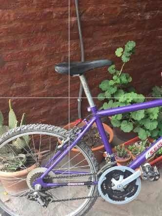 Bicicleta Mountain Bike. 18 Cambios. Rodado 24