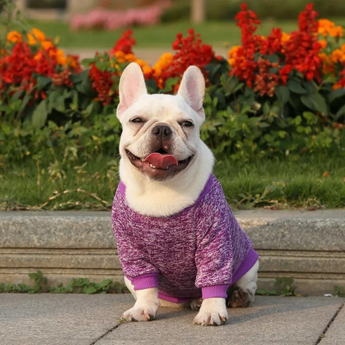 Imagen 6 de 6 de Poleron Ropa Para Perros Razas Grandes 6xl A 9xl De Colores