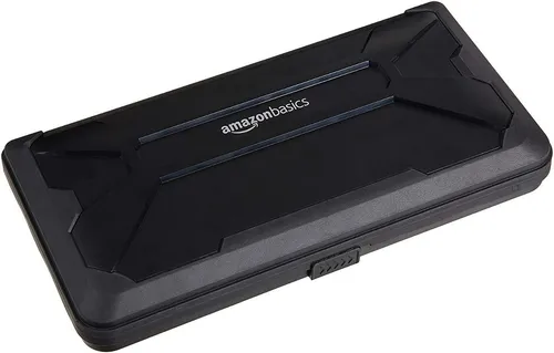 Amazonbasics vault store case