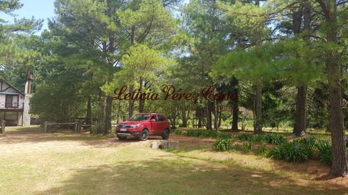 Venta De Chacra En Maldonado, Punta Ballena 5 Has - Ref: 19265