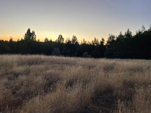 Invierte En Tierras: 3 Parcelas Bajo Valor De Mercado 2,22 H
