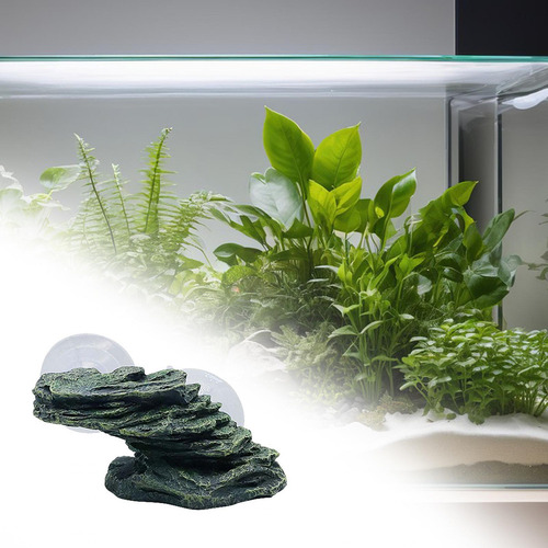 Muelle Para Reptiles, Piedra Para Terraza De , Repisa Para