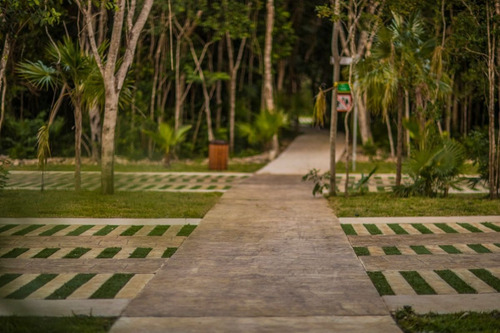 Imagen 8 de 18 de Terreno En Senderos Ciudad Mayakoba