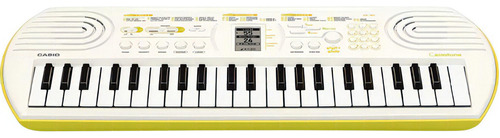 Teclado Portatil Casio Sa-80 Casiotone 44 Teclas 100 Tonos