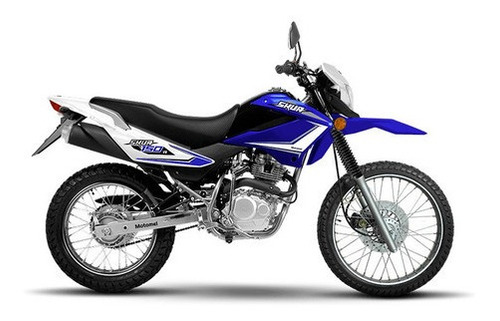 Imagen 11 de 25 de Motomel Skua 150 V6 Motozuni