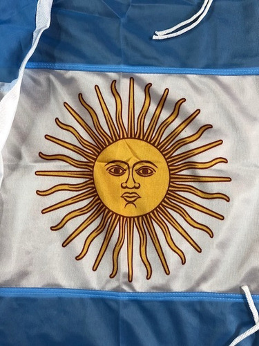 Imagen 5 de 8 de Bandera Argentina De Flameo *75x120cms* - Oficial Reforzada