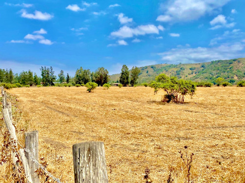 Oportunidad: Lindo Terreno De 2,4 Ha App En Catapilco