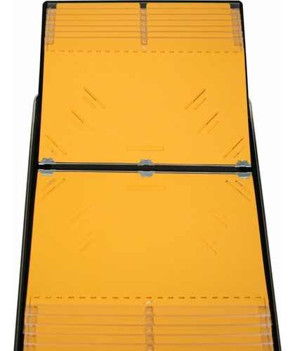 Lion Visible Record Book, Removable 25-pocket, 1 Book (185)